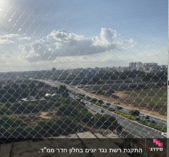 רשת מתוחה למניעת כניסת יונים על רקע נוף עירוני